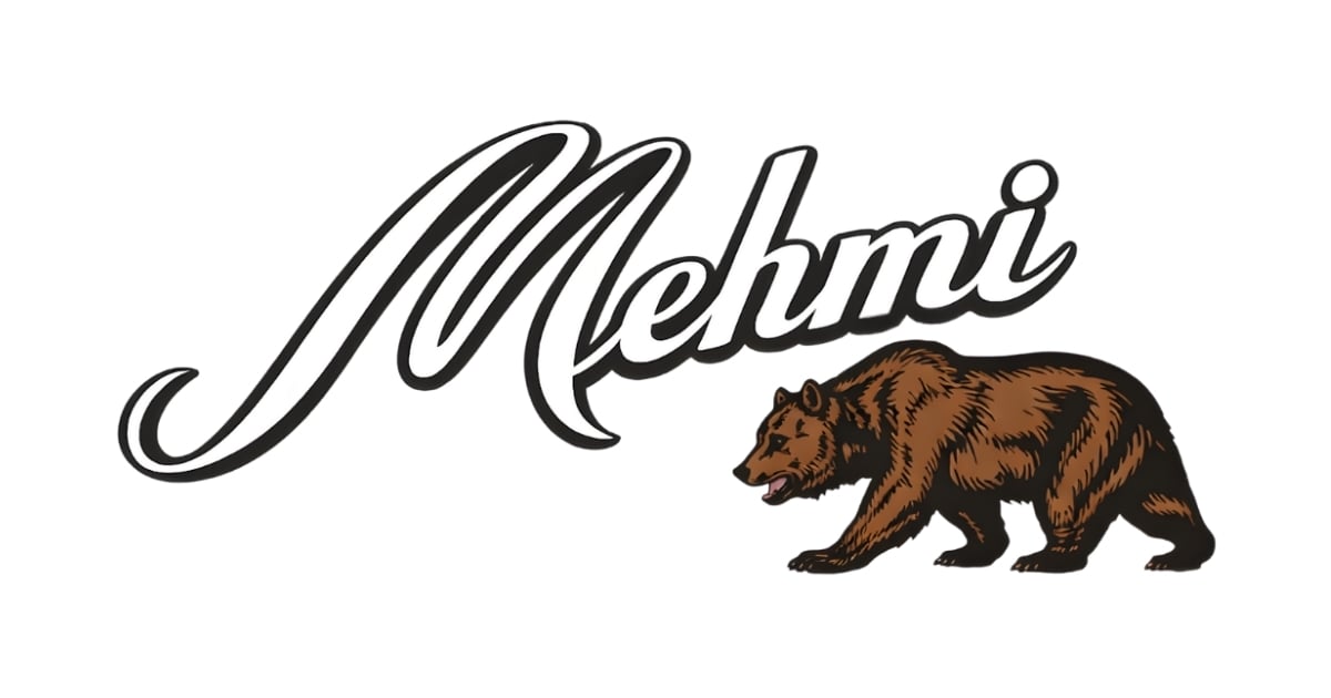 Logo of Mehmi Financial Group